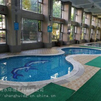 萊蕪芬尼克茲空氣能溫泉加熱設備 創(chuàng)新設計與技術研發(fā)引領綠色溫泉新時代